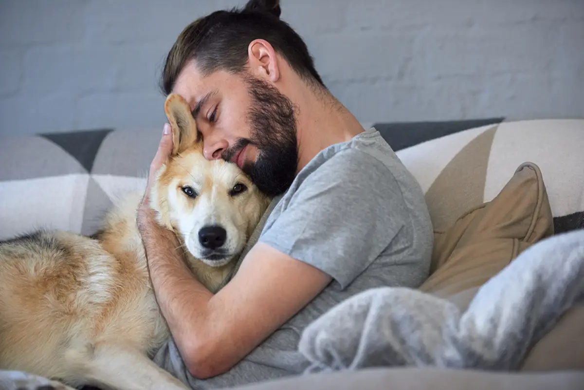 Paw-sitive Leasing: Building a Pet-Friendly Rental Strategy in Fort Collins