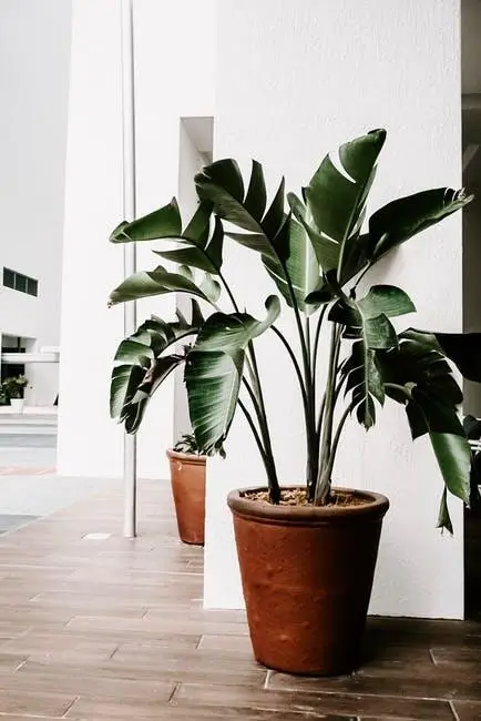 How to Keep Great Tenants in Your Fort Collins, CO Investment Property